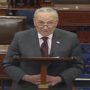 Senate Majority Leader Chuck Schumer says he intends to hold a vote to codify Roe v. Wade