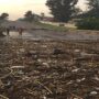 Fresh floods hit South Africa