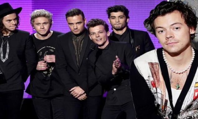 ‘It’s kind of priceless,’ Harry Styles says of his bond with his One Direction bandmates
