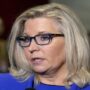 Liz Cheney believes that her own party leaders encouraged racism after buffalo shooting