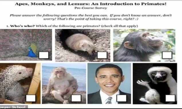 A teacher in Michigan arrested for including Obama in a lesson about apes