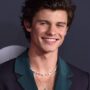 Shawn Mendes announces sustainable measures for his ‘Wonder’ tour
