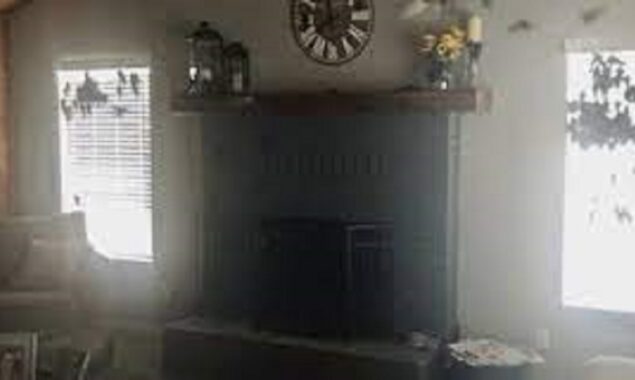 US COUPLE RETURNS HOME TO FIND HOUSE FILLED WITH BIRDS