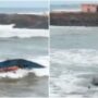 Fishermen narrowly escape death after being hit by waves of Cyclone Asani