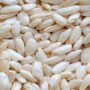 Puffed grains maker to extend