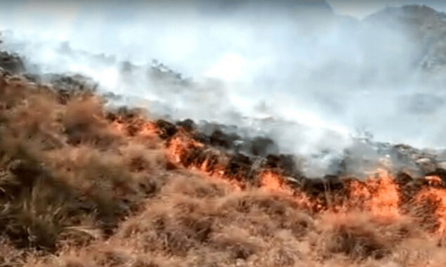 Authorities’ efforts to control the fire in Sherani forest