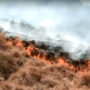Authorities’ efforts to control the fire in Sherani forest