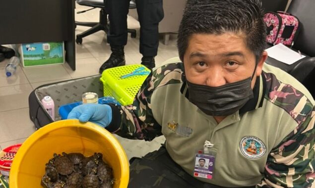 Women were captured in the act of smuggling a large number of snakes, turtles, and lizards onboard an aeroplane