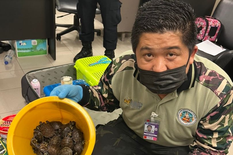Women smuggling lizards