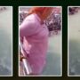 An elderly woman dives into the Ganga, dividing netizens