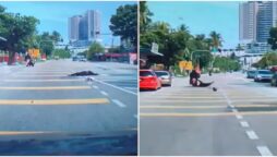 Woman riding pillion in Malaysia tumbles from bike after being struck by a coconut