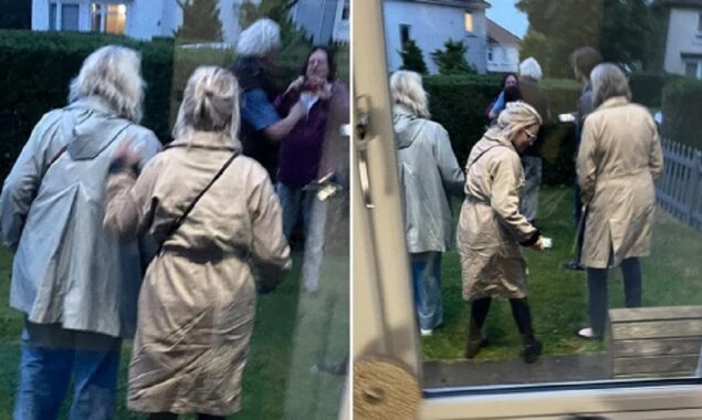 After eight strangers appear in her garden, a woman becomes perplexed