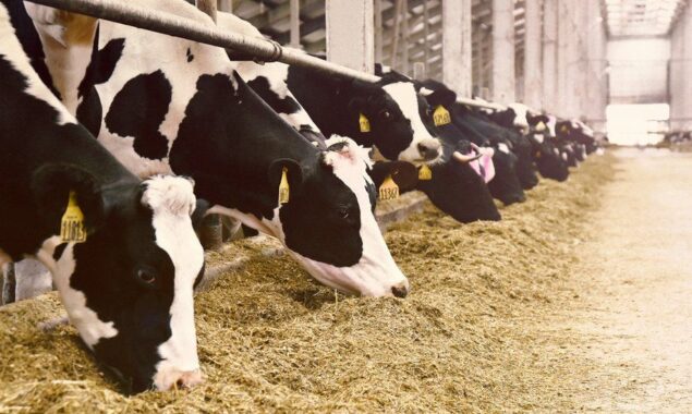 $200m loan to transform farming