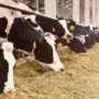 $200m loan to transform farming