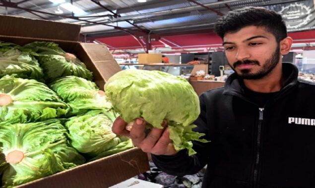 As prices soar, KFC swaps lettuce with cabbage in burgers
