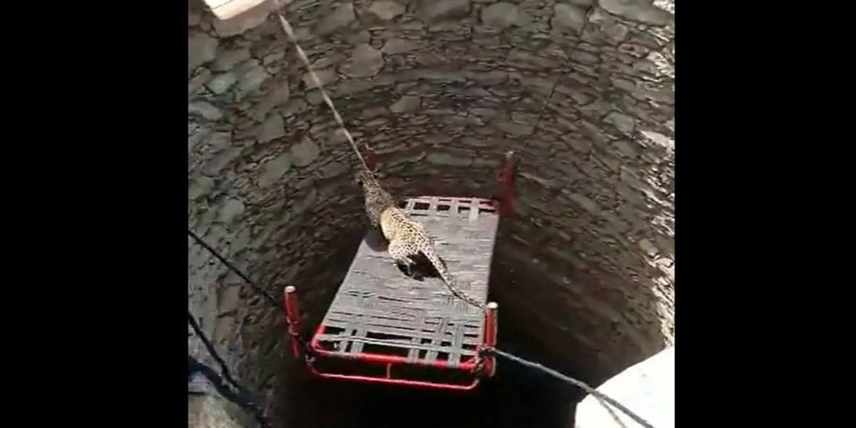 Moenjo daro