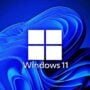 Now you can see which apps are spying on you in Windows 11