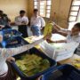 ‘No chance’ that Myanmar polls will be free and fair: US official