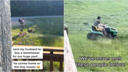 lawn