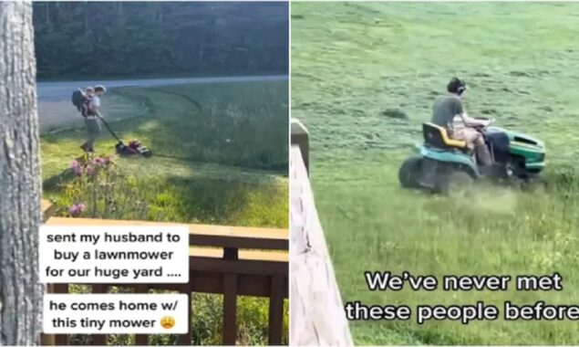 lawn