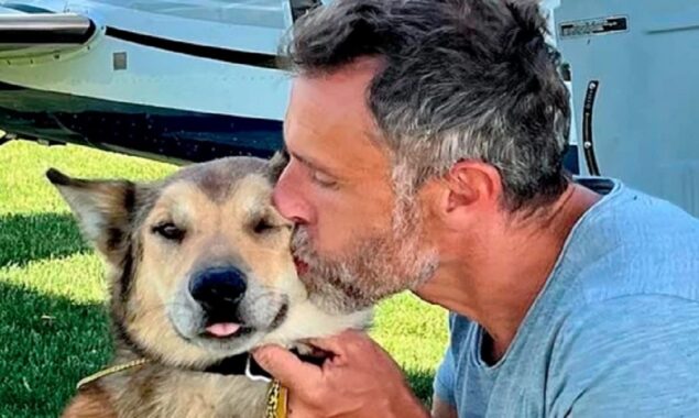 dog