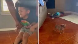 A little boy is utterly afraid of his new puppy companion