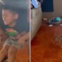 A little boy is utterly afraid of his new puppy companion