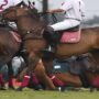 During a polo tournament, Prince Harry falls off his horse and runs over three animals