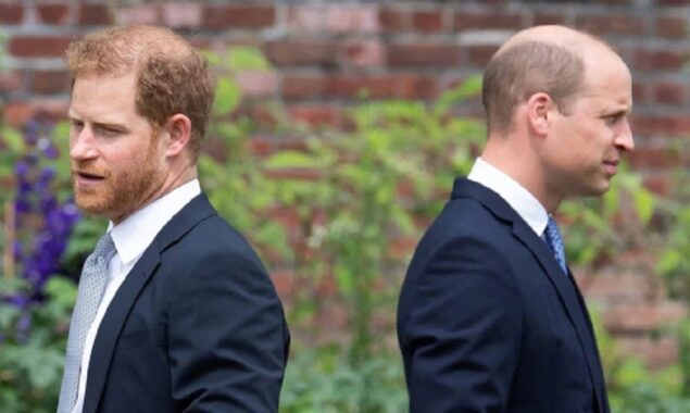 ‘Mourning rift with Harry, but no possibility of it being repaired soon,’ says Prince William