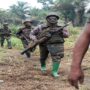 ADF rebels kill 14 civilians in eastern DR Congo