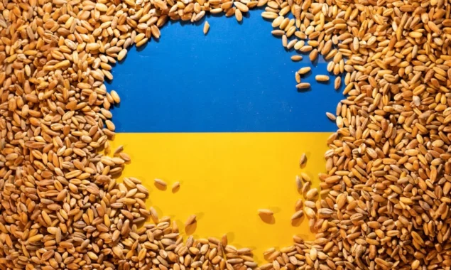 UN plan for grain exports for Ukraine has hit barriers