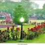 LHC orders Rs200 fine on visitors if found littering in Bagh-i-Jinnah