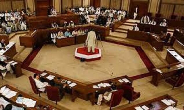 Abdul Rahman Khetran unveils Rs612.7bn Balochistan budget
