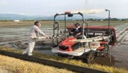 The sinking yen fuels simmering dissatisfaction on Japan’s farms