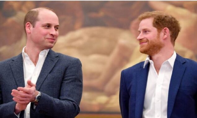 Expert said Prince William ‘hopes’ to mend his relationship with Prince Harry