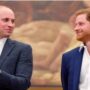 Expert said Prince William ‘hopes’ to mend his relationship with Prince Harry