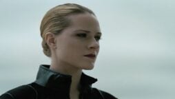Westworld: Let’s discuss about “Surprise” Reappearance