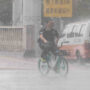 China renews yellow alert for rainstorms