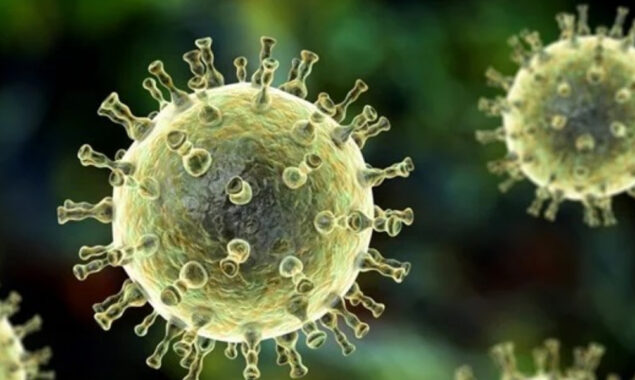What is Ramsay Hunt syndrome?