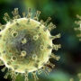 What is Ramsay Hunt syndrome?