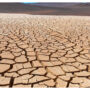 Drought has left over 7.2 million Ethiopians in need of food assistance