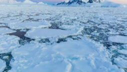 Antarctic snow