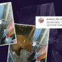 Bears growls at woman, and surveillance footage shows them fighting
