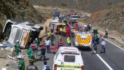 south africa bus