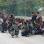 Over 300 illegal migrants are detained in Turkey