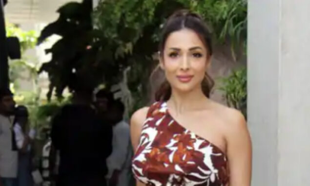 Malaika Arora raises temperature in these slinky looks