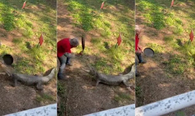 man beats crocodile