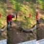 Video: Man beats crocodile with frying pan