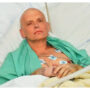 Key Russian suspect in Litvinenko murder dies of Covid: lawmaker
