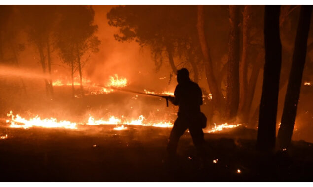 France battles massive wildfires, Britain records highest ever temperature
